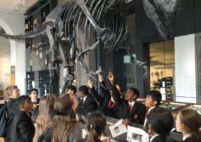 45BA31B4 2F57 4B35 90AE 39596EC42DE4 scaled 287x204