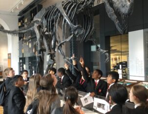 45BA31B4 2F57 4B35 90AE 39596EC42DE4 scaled 303x234