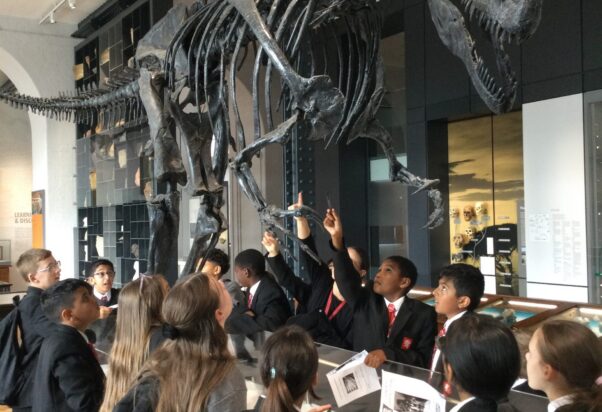 45BA31B4 2F57 4B35 90AE 39596EC42DE4 scaled 602x412