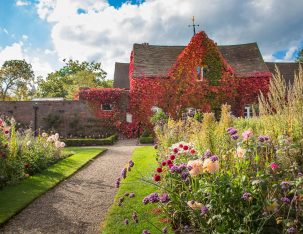 A level Art Exhibition at Winterbourne House & Gardens winterbourne gardens 2 303x234